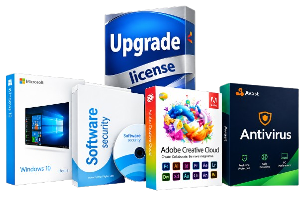 Software Licenses/Upgrades