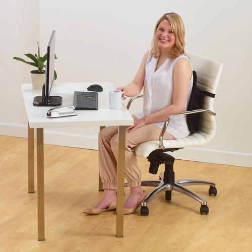 Back Rest Kensington SmartFit Conform Mesh Adjustable Office Chair Support