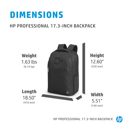 HP Professional 17.3 Laptop Backpack