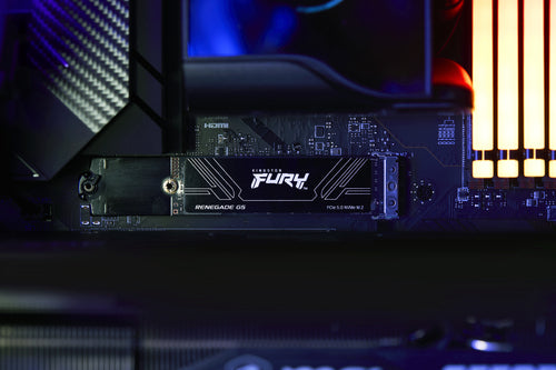Kingston Technology FURY Renegade G5