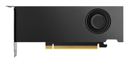 Graphics Card Nvidia RTX 2000 Ada 16GB GDDR6 128-bit 4.0 PCIe 7680 x 4320 - 900-5G192-2541-000