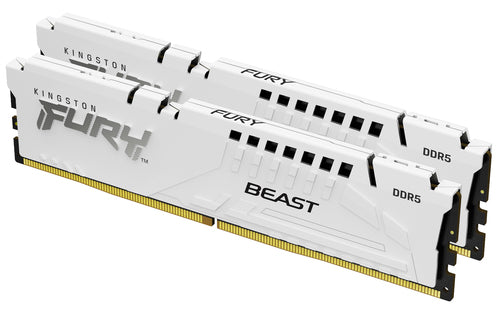 Kingston Technology FURY Beast memory module