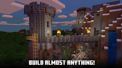 Microsoft Minecraft: Java & Bedrock Edition