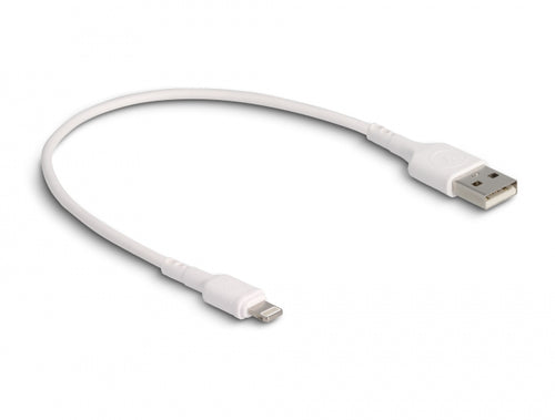 DeLOCK 87866 lightning cable