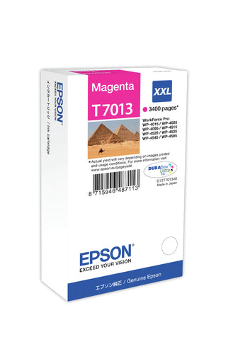 Epson T7013 ink cartridge