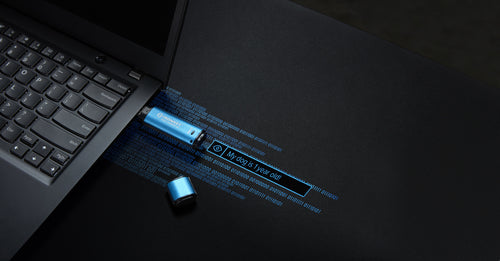 Kingston Technology IronKey Vault Privacy 50 USB flash drive