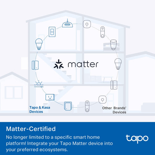 TP-Link TAPO P100M smart plug