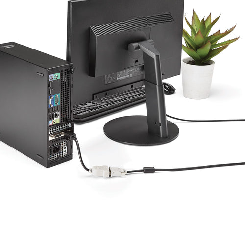 StarTech.com DP2DVI video cable adapter