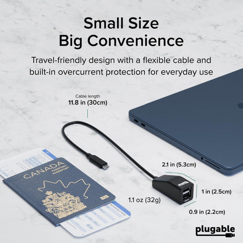 Plugable Technologies USBC-2PORT interface hub