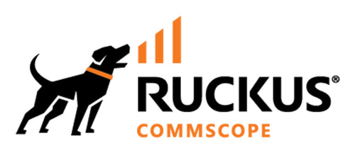 RUCKUS Networks PTNR