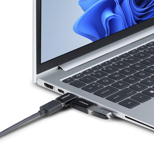 StarTech.com USB31CAADGCPRA cable gender changer