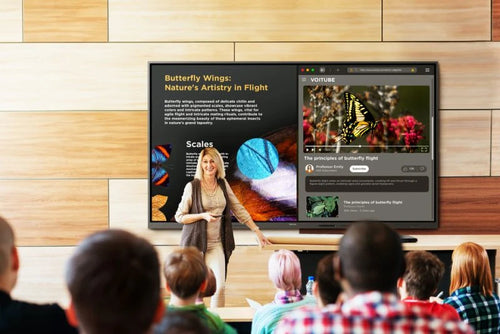 Interactive Whiteboard Viewsonic IFP110 110-Inch 4K Ultra HD 400 cd/m²