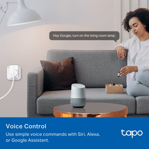 TP-Link TAPO P100M smart plug