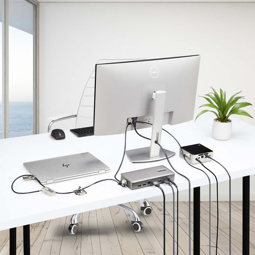 Cable Lock StarTech.com 3M4-DESK-LOCKING-KIT 9.8ft Steel 4-Digit Lock for 3 Devices - 3M4-DESK-LOCKING-KIT