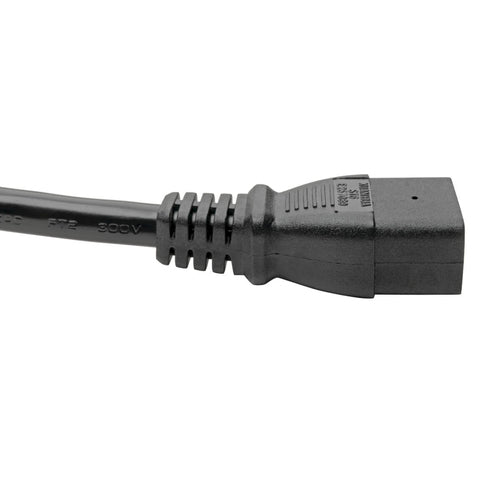 Tripp Lite P040-010 power cable