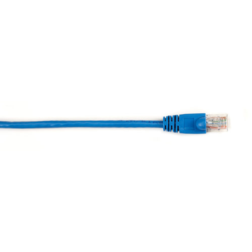 Black Box CAT6PC-006-BL networking cable