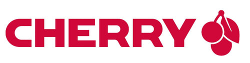 CHERRY DW 3000 keyboard