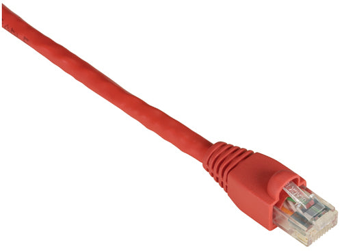 Black Box 6m Cat6 UTP 550 MHz networking cable