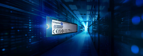 Kingston Technology DC2000B