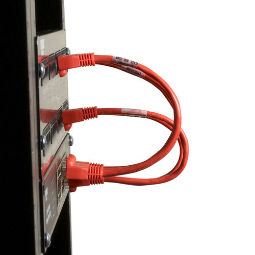 Black Box 6" CAT6 networking cable
