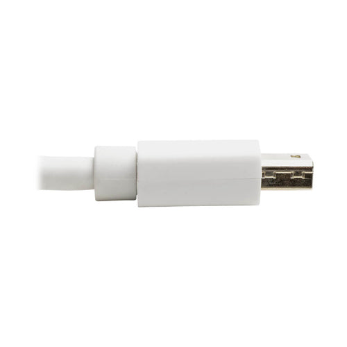 Tripp Lite P139-06N-DP-V2B video cable adapter