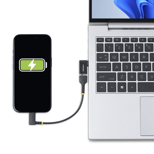 StarTech.com USB31CAADGCPRA cable gender changer