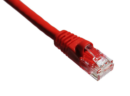 Axiom Cat6a 10ft networking cable