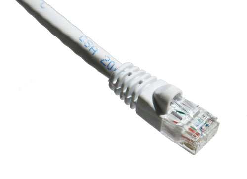 Axiom Cat6a 100ft networking cable