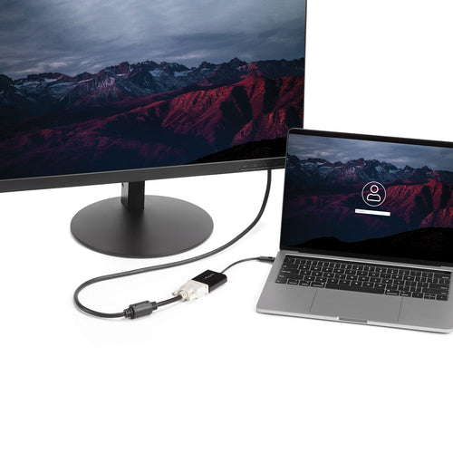 StarTech.com CDP2DVI USB graphics adapter