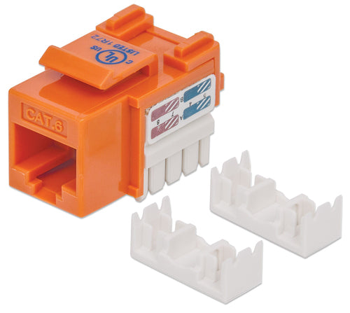 Intellinet 210775 keystone module