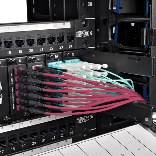 Tripp Lite N845-10M-12-MG InfiniBand/fibre optic cable