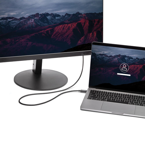 USB-C to VGA Video Adapter Cable 1920x1200 6ft Thunderbolt 3 Compatible