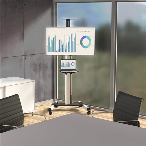 StarTech.com STNDMTV70 signage display mount