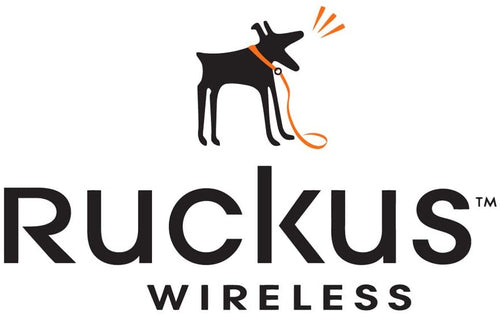 RUCKUS Networks 823-T31N-1000 warranty/support extension