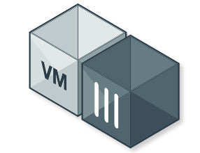 Fortinet FG-VM02 security software