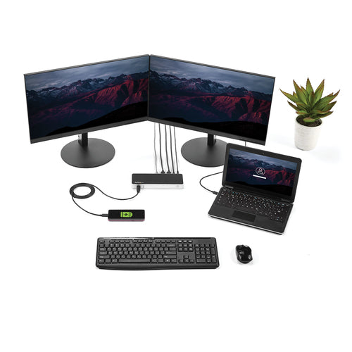 StarTech.com MST30C2HHPD laptop dock/port replicator