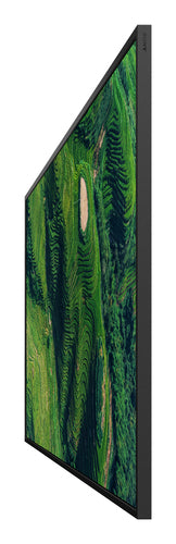 Sony BZ35P