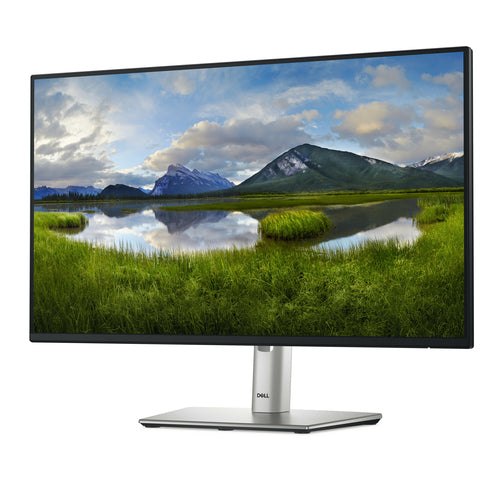DELL Pro Plus P2425HE computer monitor