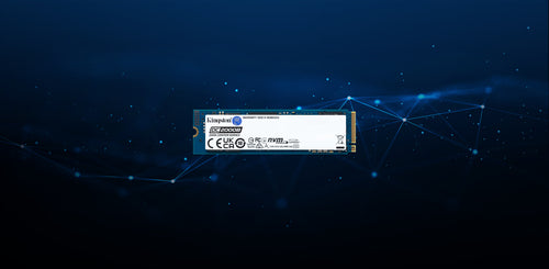 Kingston Technology DC2000B