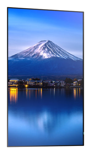 SHARP/NEC MultiSync P556