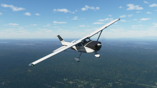 Microsoft Flight Simulator Deluxe 40th Anniversary Edition
