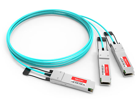Accortec AOC-Q-2Q-100G-15M-ACC InfiniBand/fibre optic cable