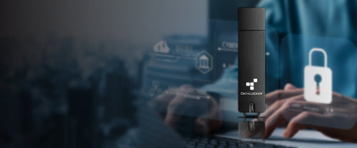 DataLocker Sentry 5 Managed USB flash drive