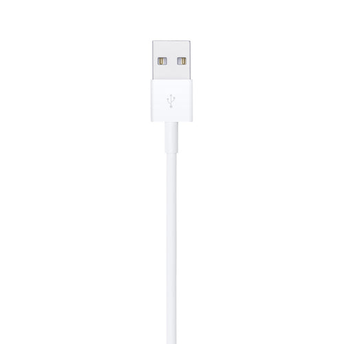 Lightning Cable Apple MUQW3ZM/A 1m USB A Male to Male - MUQW3ZM/A