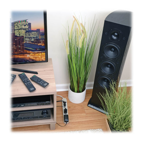 Tripp Lite TLP606 surge protector