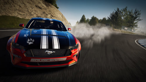Microsoft DRIFTCE