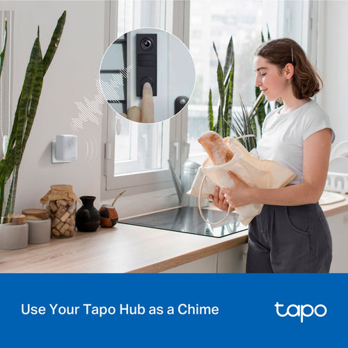 TP-Link Tapo TD20