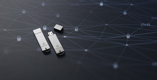 Kingston Technology IronKey S1000 USB flash drive