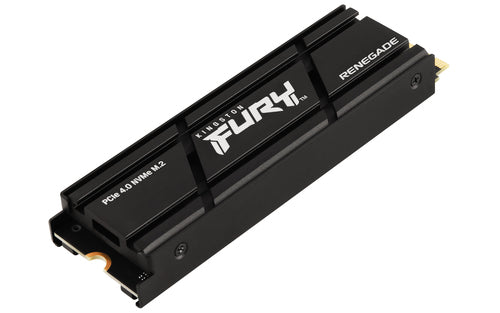 Kingston Technology FURY Renegade