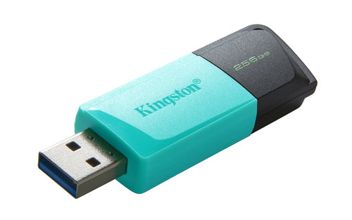 Kingston Technology DataTraveler Exodia M USB flash drive